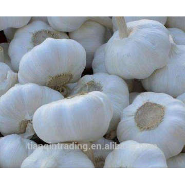 compra 2017 nueva cosecha chino blanco ajo congelado puro